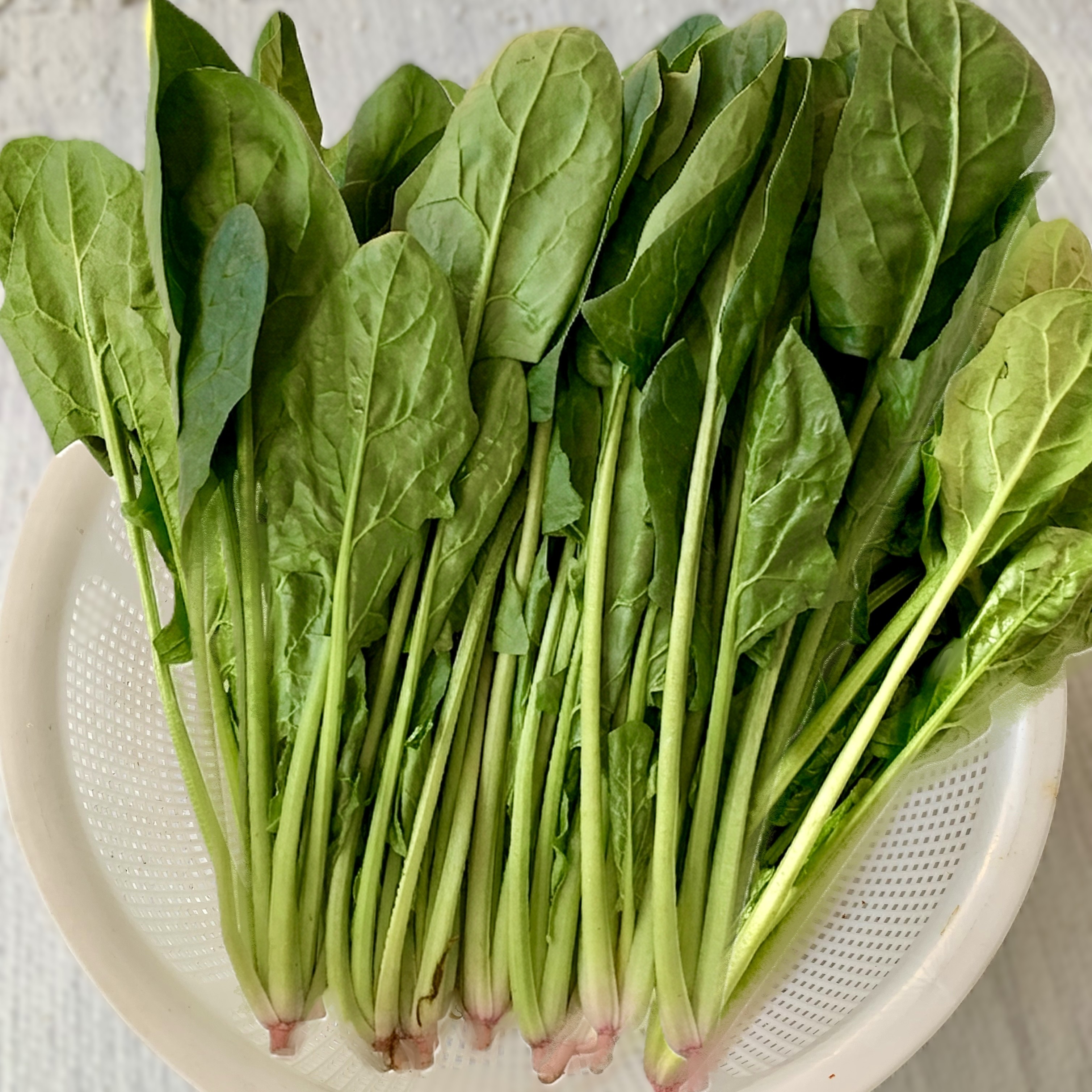 ほうれん草